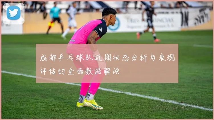 成都乒乓球队近期状态分析与表现评估的全面数据解读