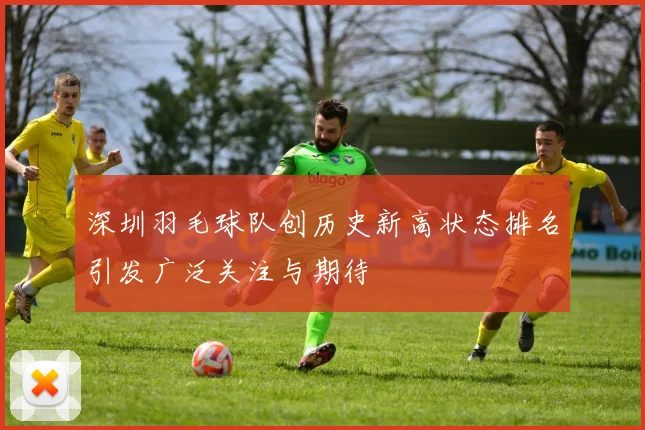 深圳羽毛球队创历史新高状态排名引发广泛关注与期待