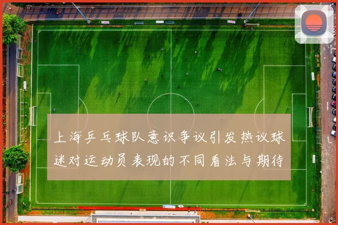 上海乒乓球队意识争议引发热议球迷对运动员表现的不同看法与期待