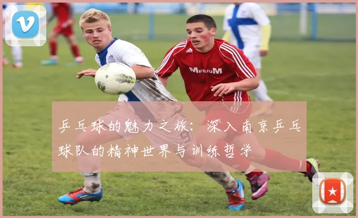 乒乓球的魅力之旅：深入南京乒乓球队的精神世界与训练哲学