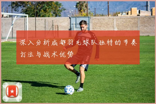 深入分析成都羽毛球队独特的节奏打法与战术优势