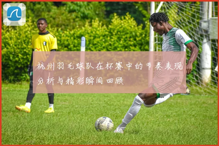 杭州羽毛球队在杯赛中的节奏表现分析与精彩瞬间回顾