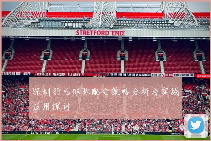 深圳羽毛球队配合策略分析与实战应用探讨