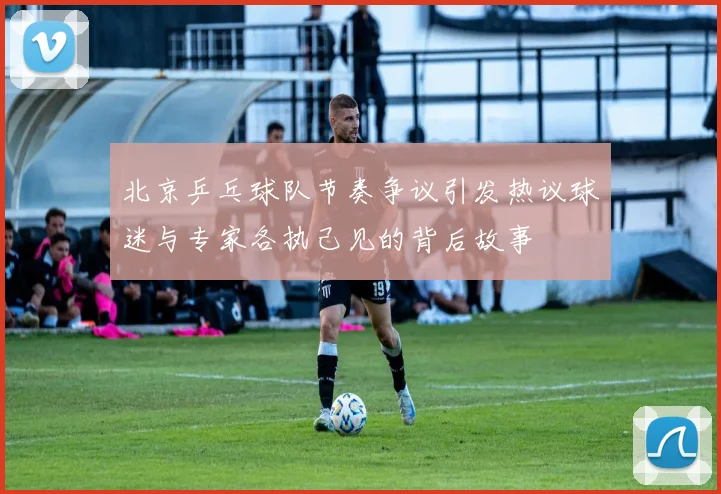 北京乒乓球队节奏争议引发热议球迷与专家各执己见的背后故事