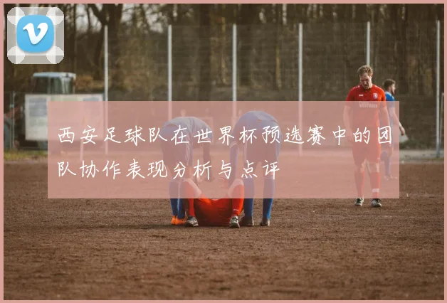 西安足球队在世界杯预选赛中的团队协作表现分析与点评