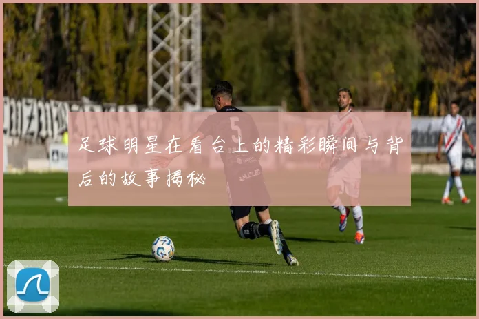 足球明星在看台上的精彩瞬间与背后的故事揭秘