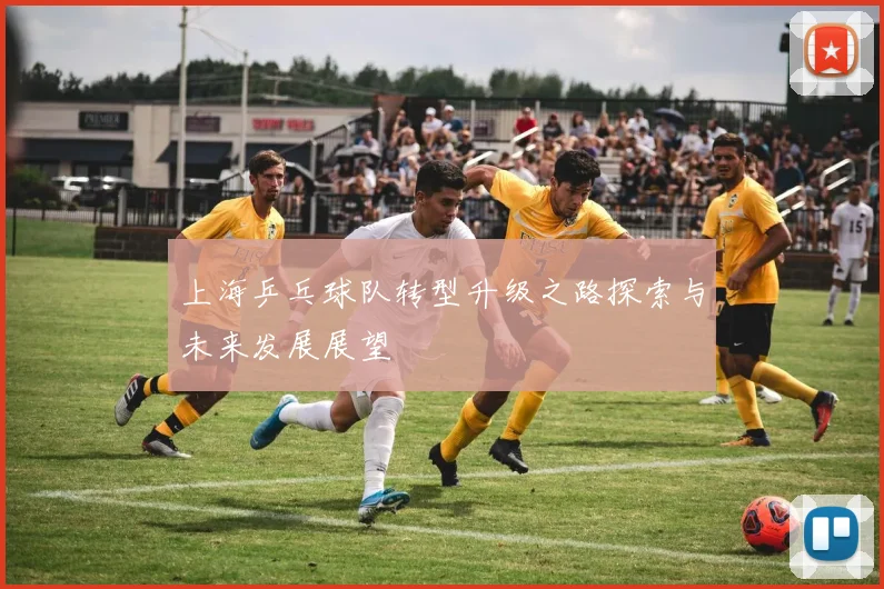 上海乒乓球队转型升级之路探索与未来发展展望