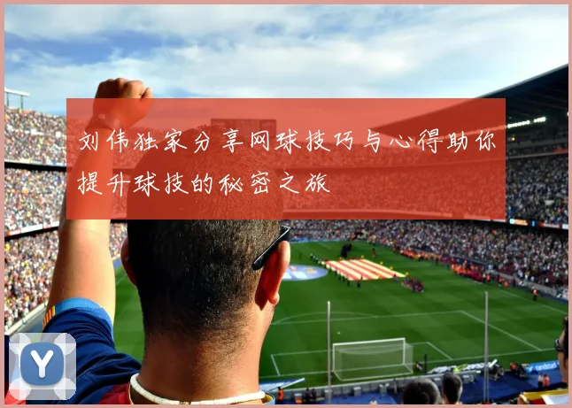 刘伟独家分享网球技巧与心得助你提升球技的秘密之旅