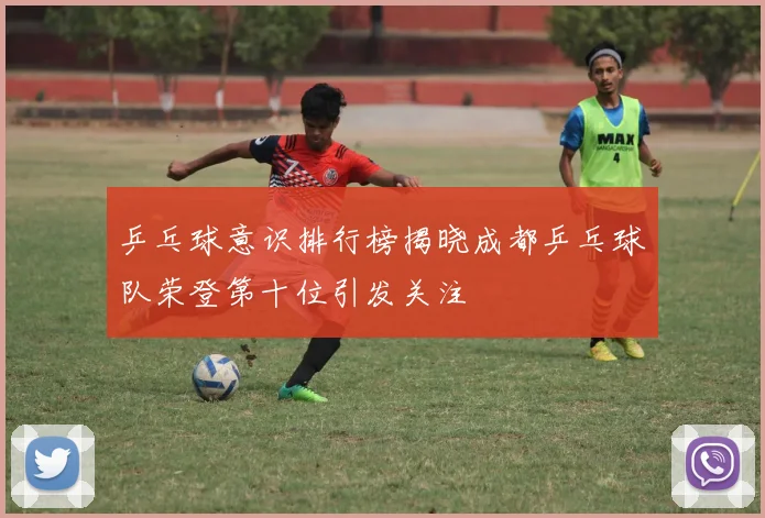 乒乓球意识排行榜揭晓成都乒乓球队荣登第十位引发关注