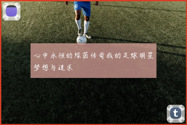 心中永恒的绿茵传奇我的足球明星梦想与追求