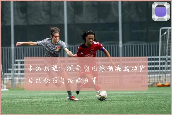 专访刘强：探寻羽毛球领域成功背后的秘密与经验分享