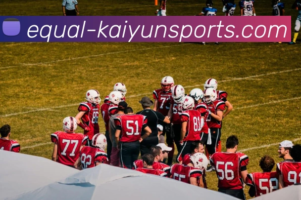 开云官网平台生态图